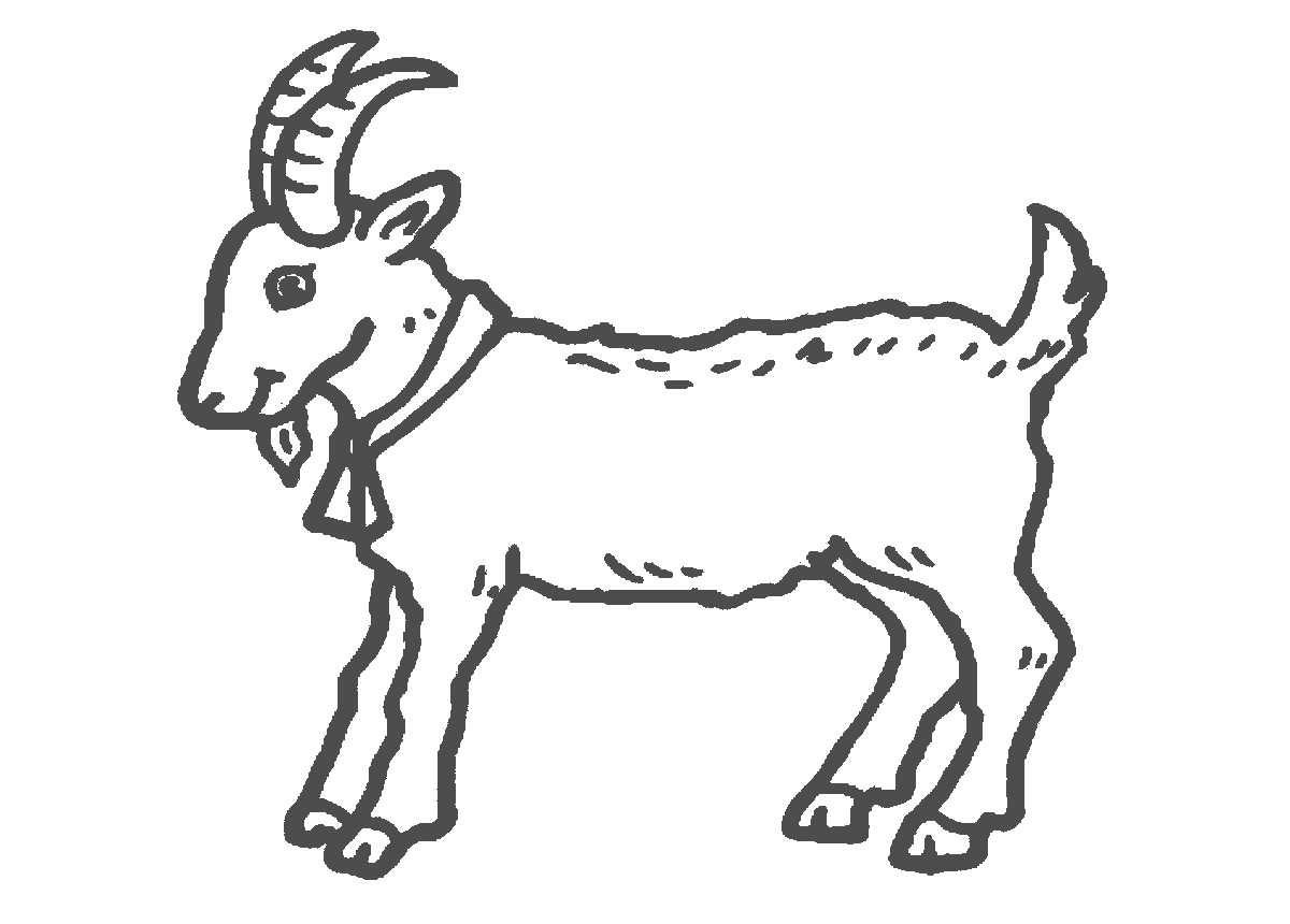 billygoat rooster lamb